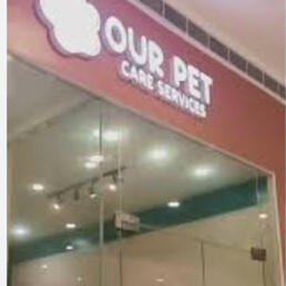 Our Pet Care Services SM Bicutan